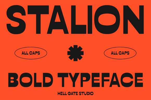 Stalion: A Retro Font for Editorial Design